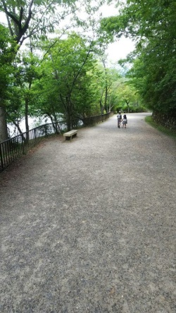 新緑の宝ヶ池公園（京都市左京区）