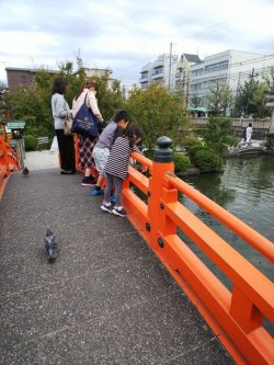 神泉苑（京都市中京区）