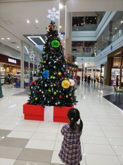 クリスマスツリー（京都市右京区）