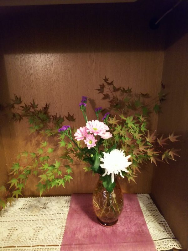 京都市右京区の相続税・贈与税対策室の花（１１月１６日）
